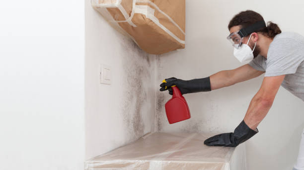 Professional Mold Removal technician working in Natick, MA