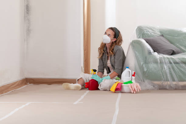 Reliable Mold Removal contractor in Natick, MA by WQB Mold Removal